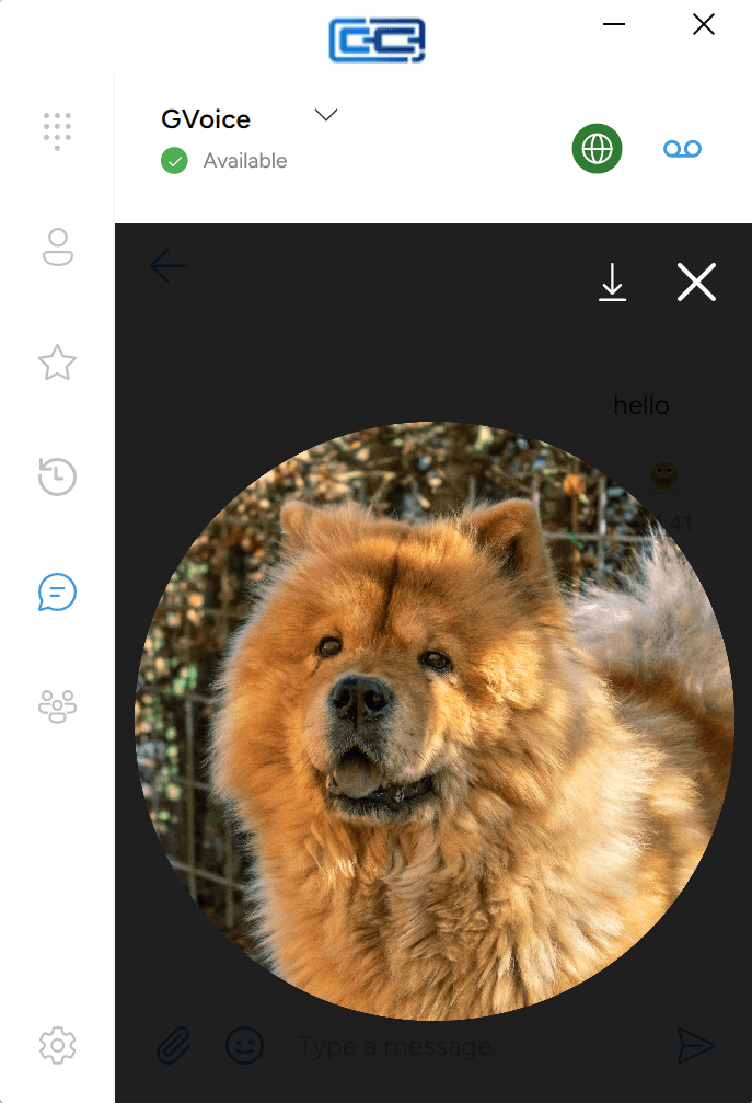 The full-window image viewer with Download and Close icons in the top-right
