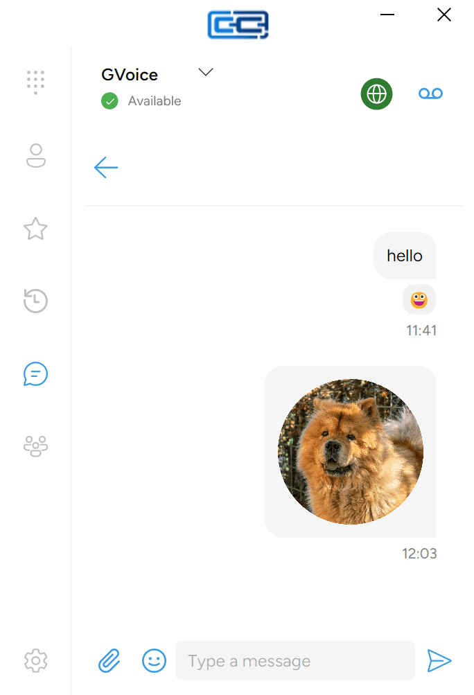 The image sent in the conversation