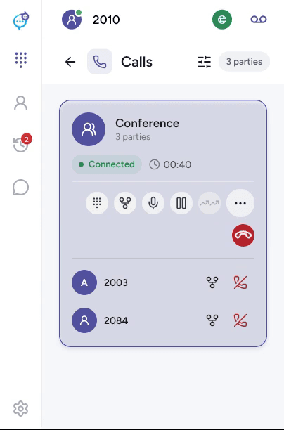 Conference with individual participant controls