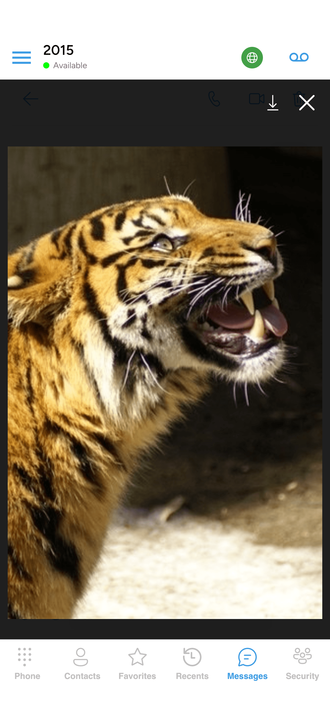 The full-screen image viewer with Download and Close controls in the top-right
